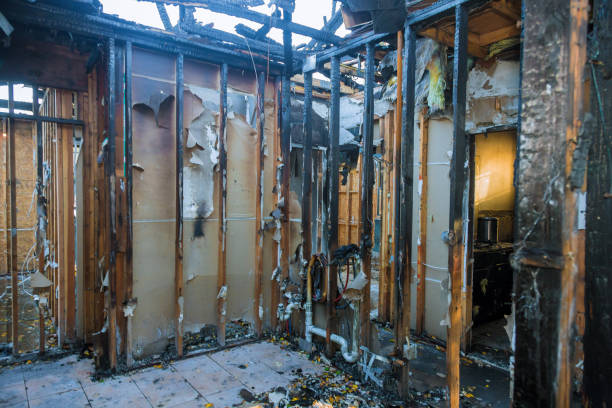 Professional Fire Damage Removal technician working in Wilson, WI